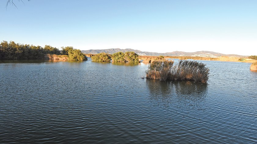 La proposta de Territori «arriba tard»