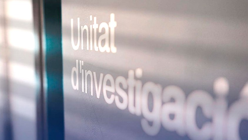 Enxampats amb 461 plantes de marihuana