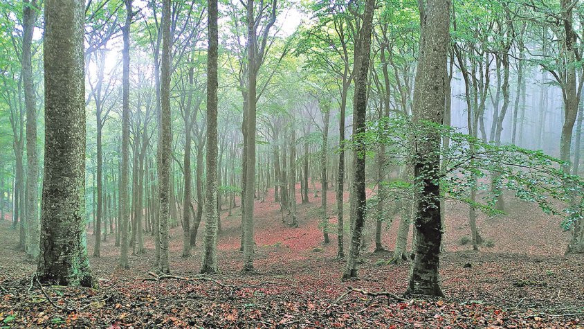 Sortides per descobrir la tardor als espais naturals de l’Empordà