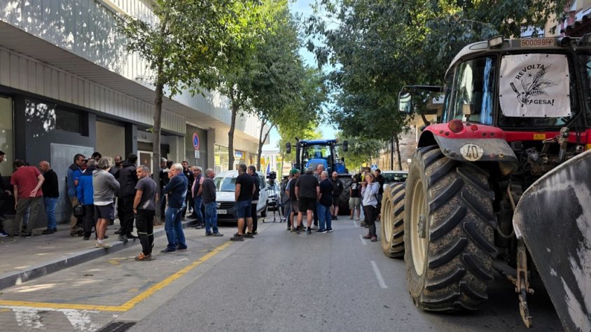 Activada la ‘petició immediata’ de vacunes per a la dermatosi nodular bovina