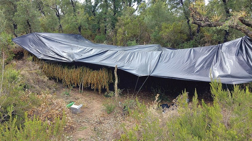 Una bossa al voral porta a una plantació