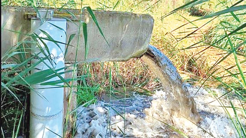 Millora de la gestió de l’aigua i creació d’una zona humida