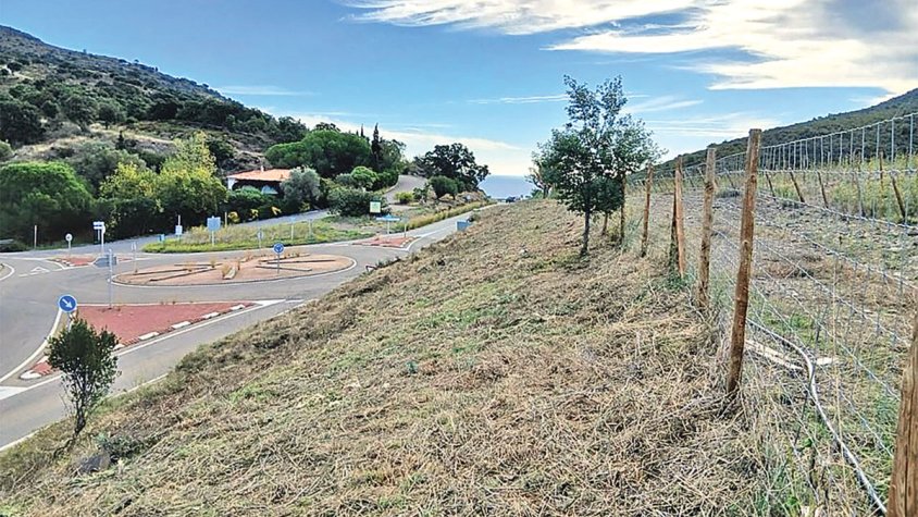 Fi dels treballs forestals a l’entorn de Cadaqués