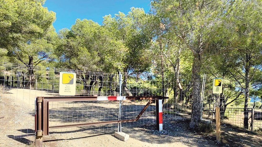 Tallen tot el trànsit per la pista de Falconera