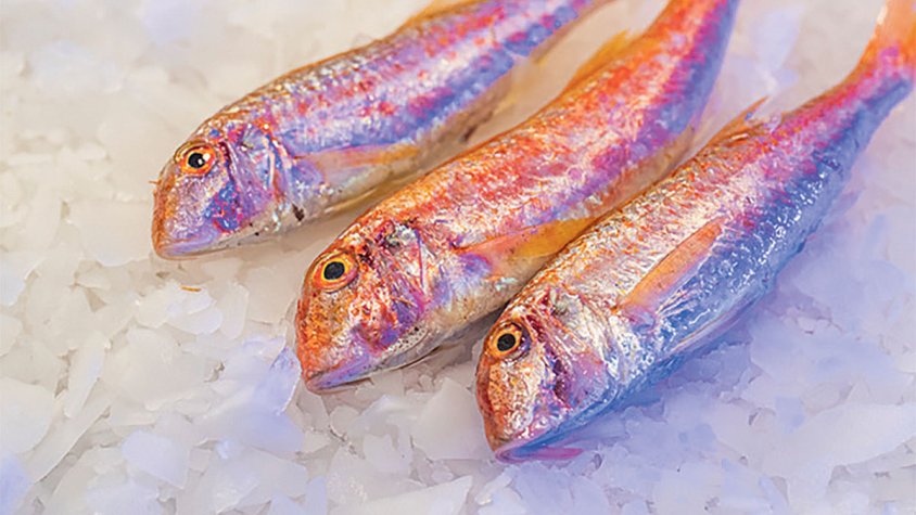 ‘Showcookings’ per redescobrir el peix del Cap de Creus