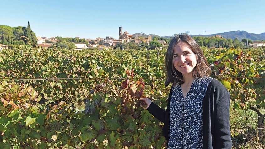 «Seleccionem llevats de les nostres vinyes»