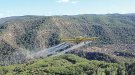 Ruixen 2.219 ha per controlar la processionària del pi