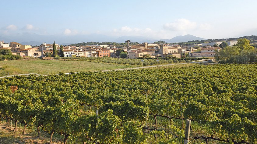 Descobrir el paisatge i el patrimoni de Capmany sobre dues rodes
