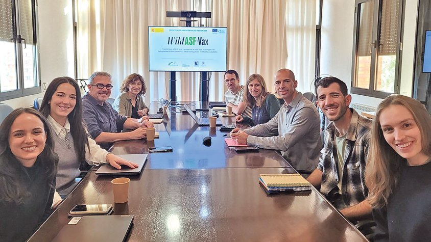 Provaran una vacuna contra la pesta porcina a l’Alt Empordà