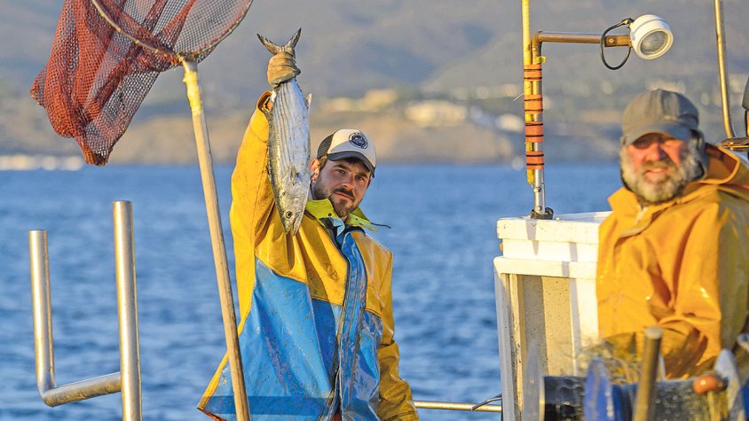 Mantenir la ‘xarxi’ a Portlligat 