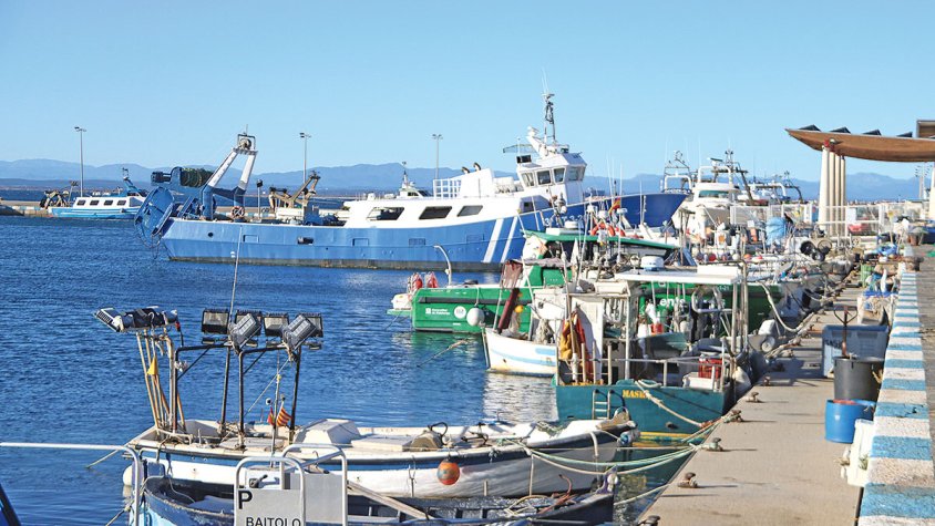 «Un despropòsit de proporcions bíbliques»