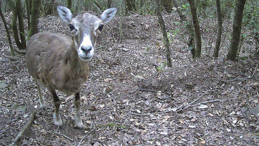 El PN del Cap de Creus, exemple d’equilibri entre la preservació i la contemplació