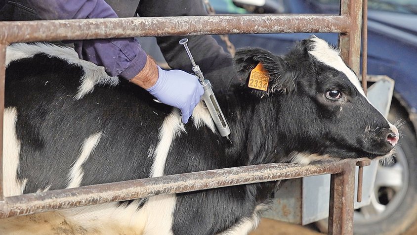 Les restriccions s’aixecaran el 8 de gener