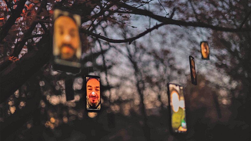 Arrels Vives connecta cultura i territori