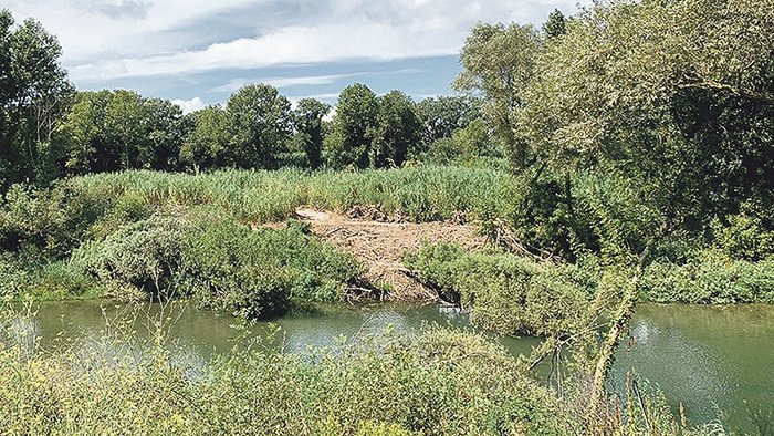 L’ACA controlarà punts del riu Muga i del Fluvià per analitzar si hi ha microplàstics