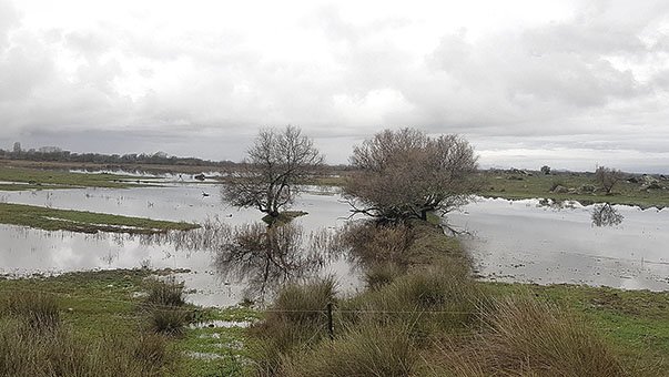 La Generalitat expropia l’estany de Vilaüt i posa en marxa un procés de restauració