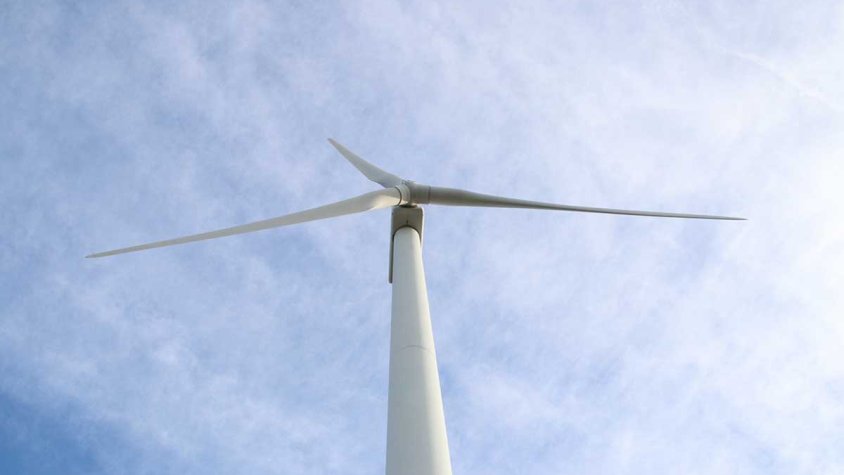 Volen que els POEM se sotmetin a una avaluació ambiental específica per demarcacions