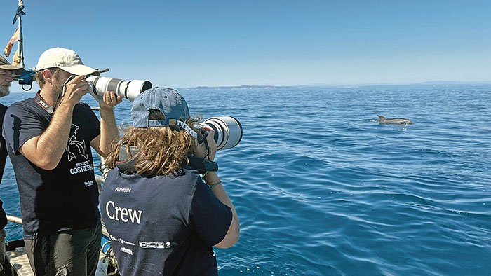Convivència entre pescadors i dofins