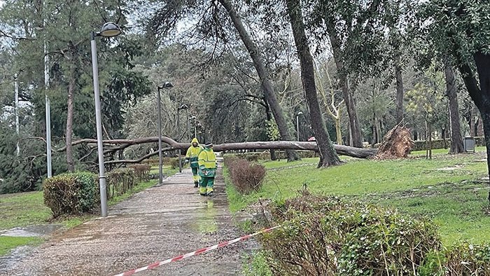 Passos tancats i accés prohibit al Parc Bosc