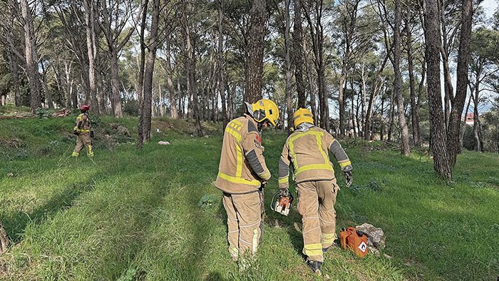 Talen 45 pins perquè estan morts o amb risc de caure