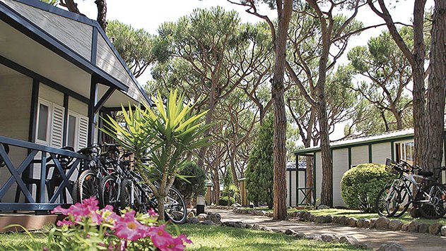 Els càmpings gironins baten un nou rècord