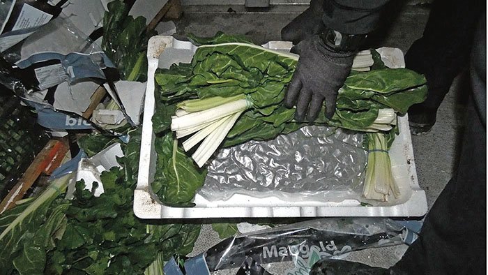 Duien 131 kg de marihuana amagats entre bledes