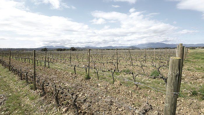 Primers passos del Parc Agrari de l’Alt Empordà