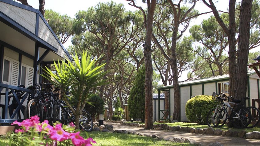 Els càmpings gironins consoliden les estades més llargues i marquen un nou rècord de pernoctacions