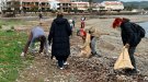 Una vintena de voluntaris recullen 49 kg de residus a la platja del Port