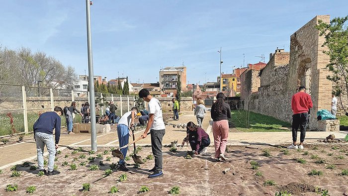Dignifiquen els Caputxins amb 700 plantes remeieres