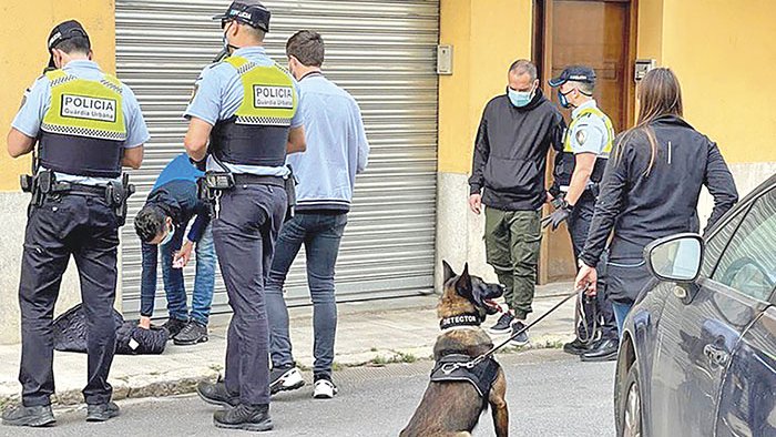El servei caní de detecció de drogues, pendent