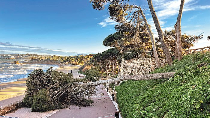 Gran ventada amb ràfegues de 170 km/h, arbres caiguts, talls de serveis i dos ferits
