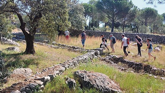 Fins a 30 accions per millorar l’entorn natural