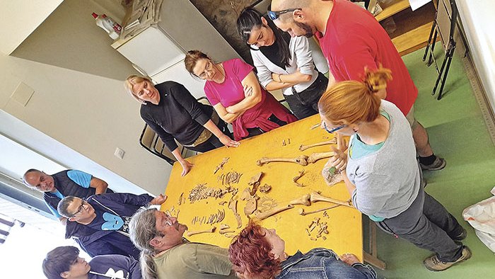 La Càtedra d’Arqueologia de Roses obre el seu laboratori