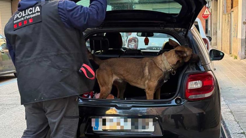 Un moment de l'operatiu (cliqueu per ampliar)