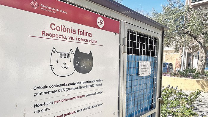 El pla a les colònies ferals ha permès atendre 431 gats