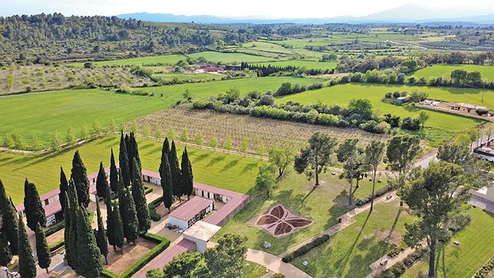Llers fomenta la biodiversitat i ‘regenera papallones’ amb art