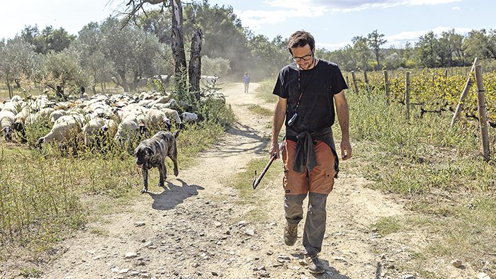 Víctor Rojas: «Gran part del problema del sector prové de la tria del consumidor»
