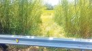 Denuncien que la Diputació ha barrat camins agrícoles