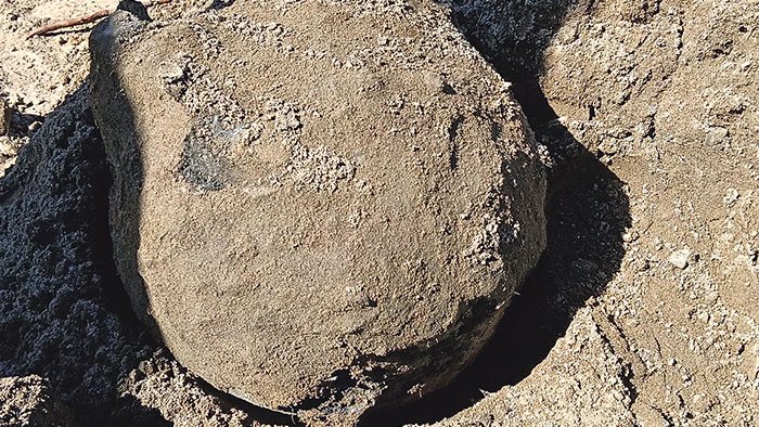 Custodiada a la Ciutadella la mina napoleònica trobada a les obres de la platja