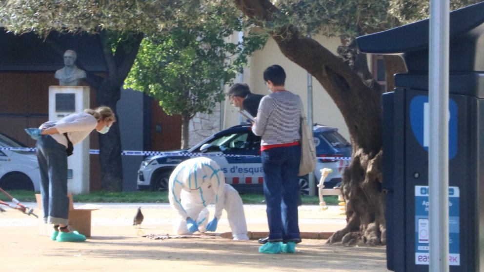 Presó provisional i sense fiança per l'acusat de matar l'exparella a Figueres
