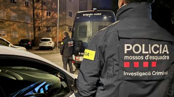 Un operatiu contra el tràfic de marihuana acaba amb 26 detinguts i 11 plantacions desmantellades a la demarcació, una de les quals a l'Escala