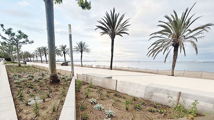 Nou disseny als parterres amb vegetació sostenible