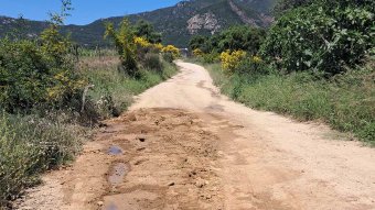 Neix una nova plataforma: Albera Lliure de Purins