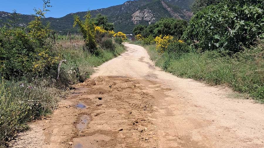 Neix una nova plataforma: Albera Lliure de Purins