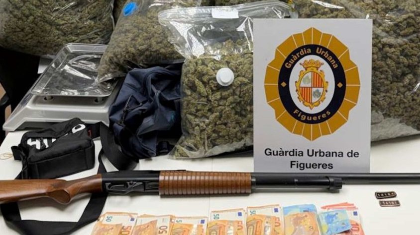Tres detinguts i 100 quilos de cabdells de marihuana comissats