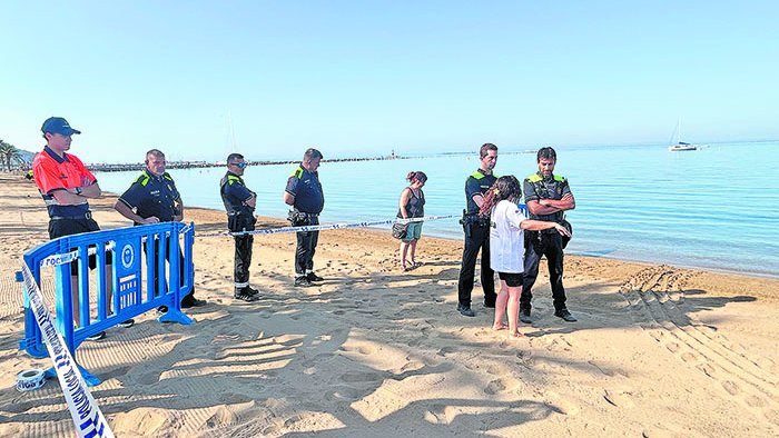 Policies locals de Roses i Llançà es formen per protegir la tortuga careta