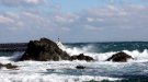 Llançà tanca preventivament la platja de la Gola
